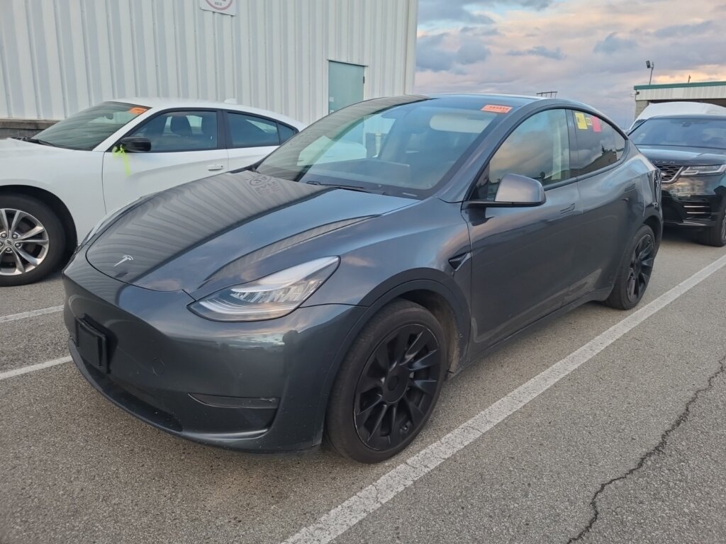 2021 Tesla Model Y LRDM