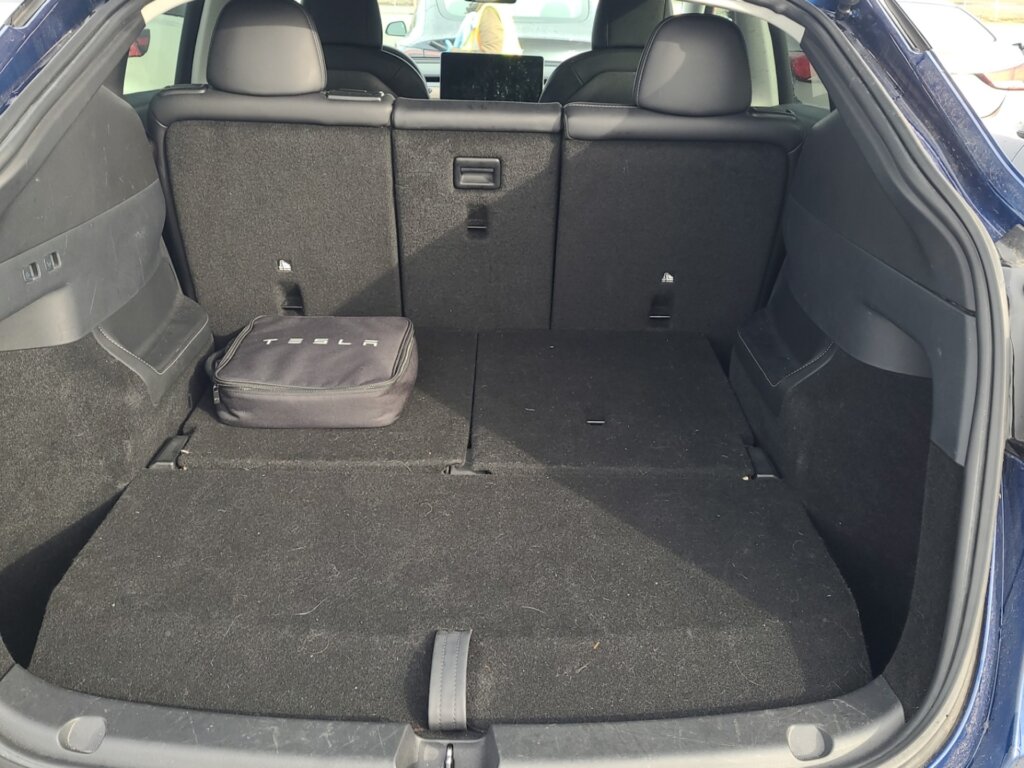 M9525-2021-Tesla-Model-Y-LRDM-10-1.jpeg