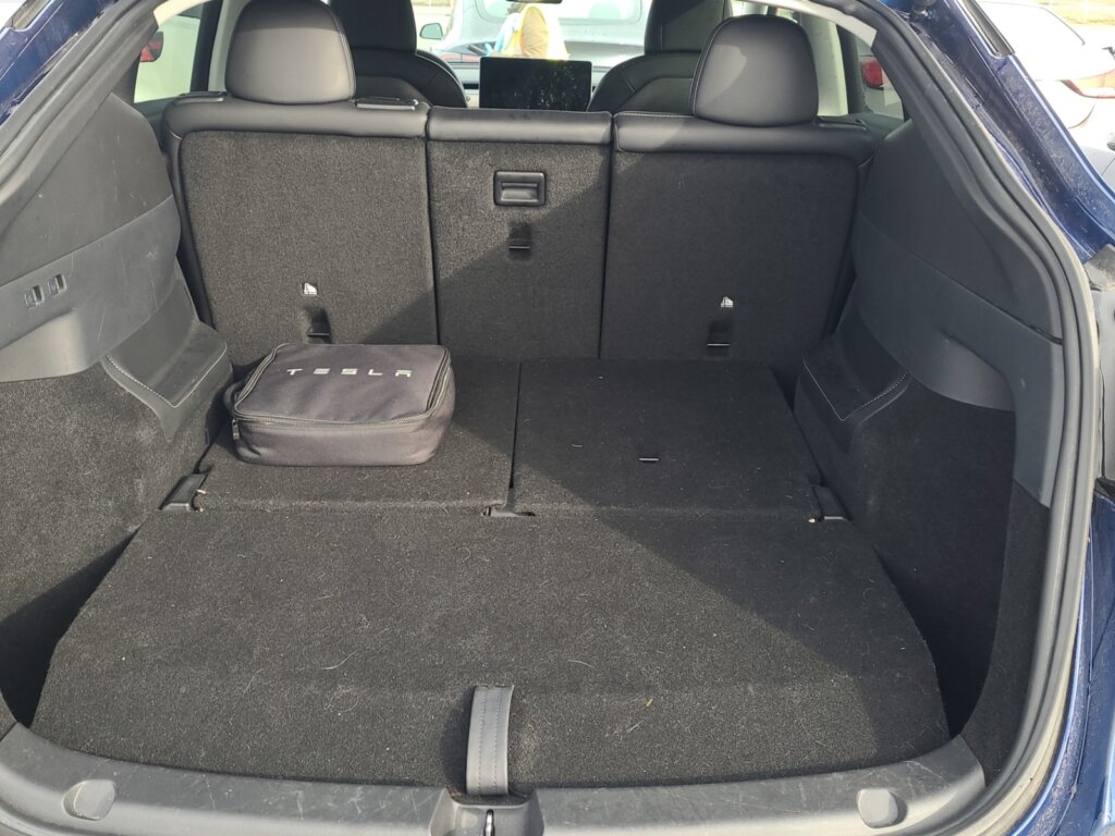 M9525-2021-Tesla-Model-Y-LRDM-10.jpeg