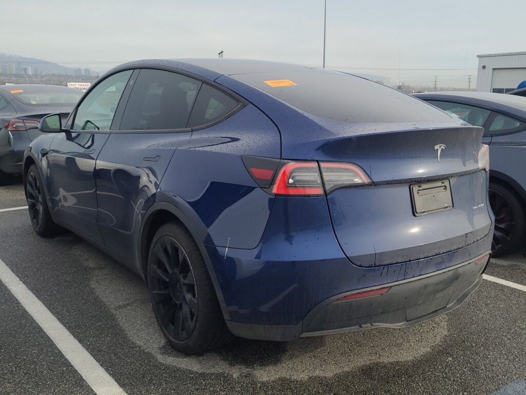 M9525-2021-Tesla-Model-Y-LRDM-2-1.jpeg