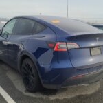 M9525-2021-Tesla-Model-Y-LRDM-2-1.jpeg
