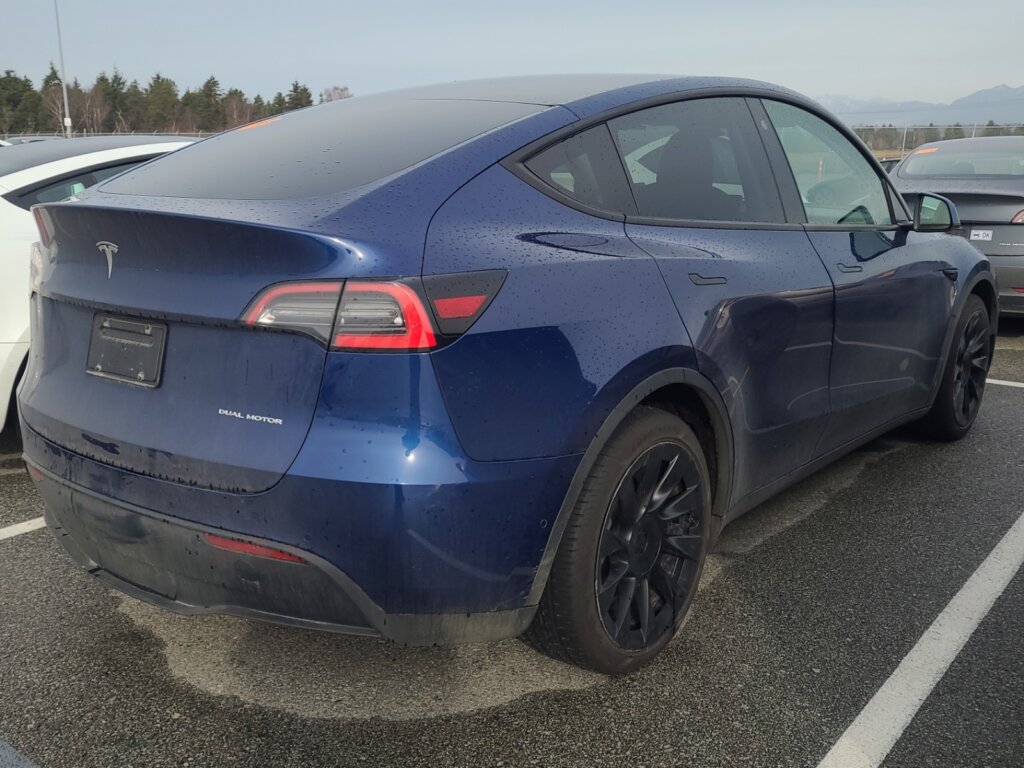 M9525-2021-Tesla-Model-Y-LRDM-3-1.jpeg