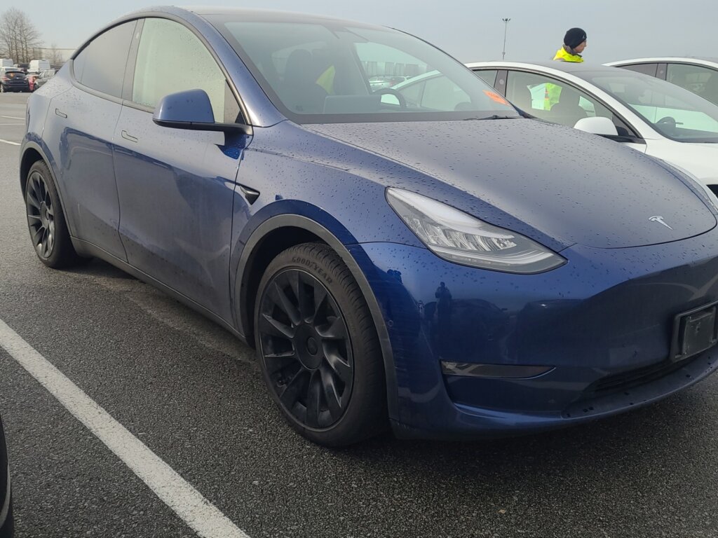 M9525-2021-Tesla-Model-Y-LRDM-4-1.jpeg